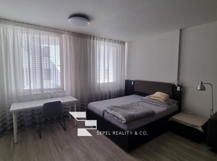 Pronájem bytu, 1+kk, 50 m²