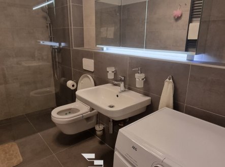 Pronájem bytu, 1+kk, 50 m²