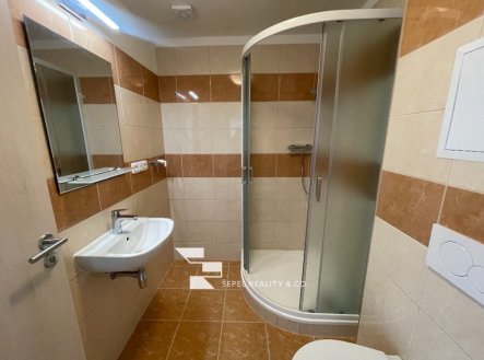 Pronájem bytu, 1+1, 36 m²