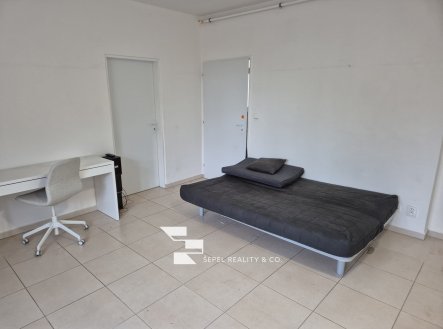 Pronájem bytu, 1+kk, 20 m²