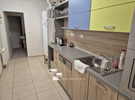 Pronájem bytu, 1+kk, 20 m²