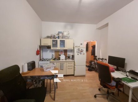 Pronájem bytu, 1+kk, 22 m²