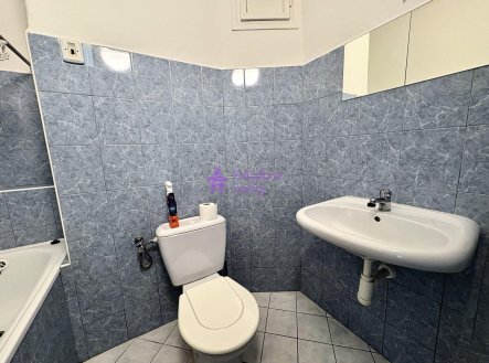 Pronájem bytu, 1+kk, 17 m²