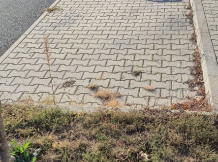 Prodej