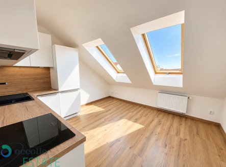 Prodej bytu, 2+kk, 40 m²