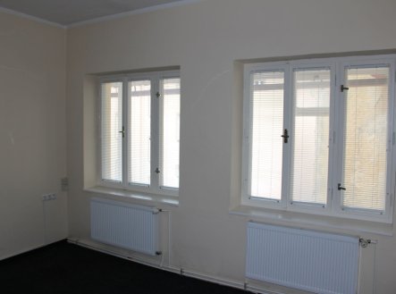 Pronájem obchodní prostory, 100 m²
