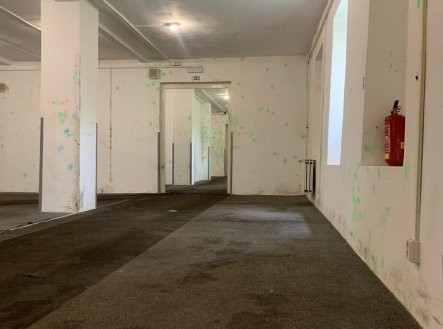 Pronájem skladu, 750 m²