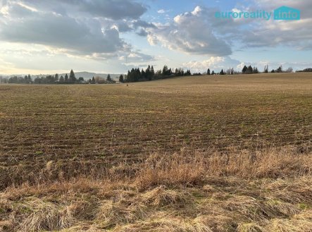 Prodej pozemku pro bydlení, 10 000 m²