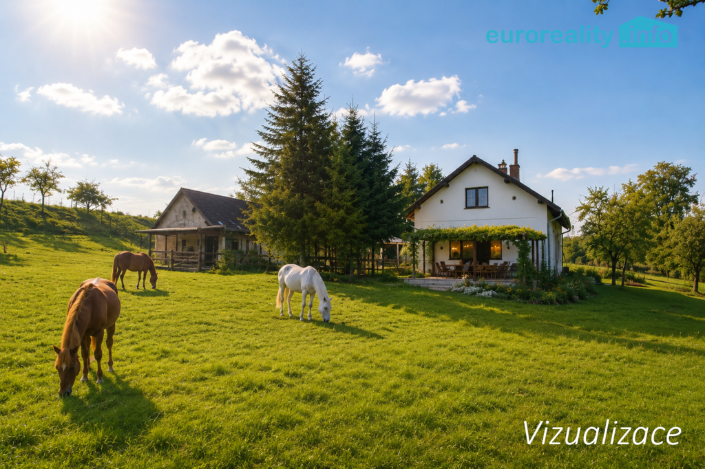 vizualizace