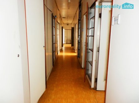 Pronájem obchodní prostory, 735 m²