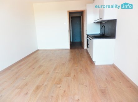 Pronájem bytu, 1+kk, 37 m²