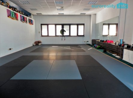 Pronájem obchodní prostory, 347 m²