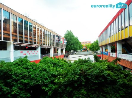 Pronájem obchodní prostory, 347 m²