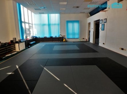 Pronájem obchodní prostory, 347 m²