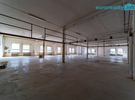 Pronájem skladu, 125 m²