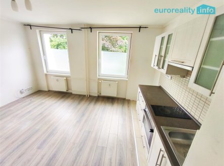 Pronájem bytu, 1+kk, 26 m²