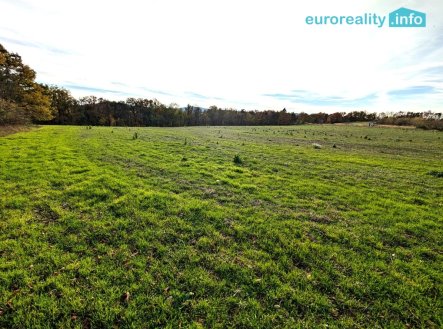 Prodej pozemku pro bydlení, 3 986 m²