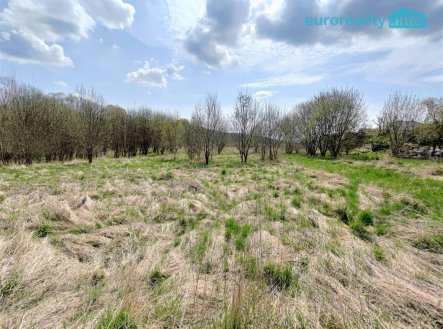 Prodej pozemku pro bydlení, 5 800 m²