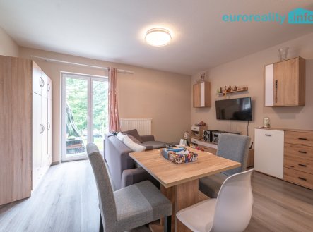 Pronájem bytu, 2+kk, 533 m²