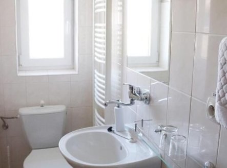 Pronájem bytu, jiný, 25 m²