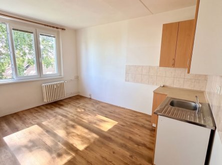 Pronájem bytu, 1+kk, 20 m²