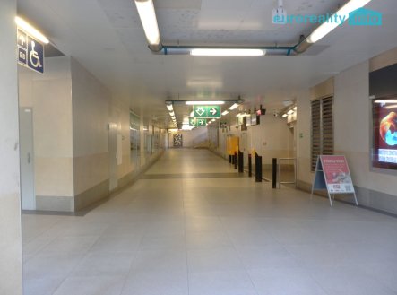Pronájem obchodní prostory, 51 m²