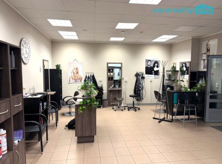 Pronájem obchodní prostory, 57 m²