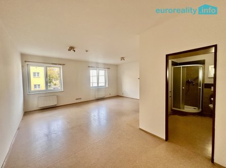 Pronájem bytu, 1+kk, 395 m²