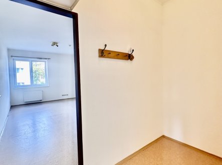 Pronájem bytu, 1+kk, 395 m²