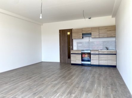 Pronájem bytu, 1+kk, 52 m²