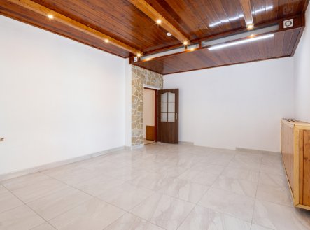 Pronájem obchodní prostory, 47 m²