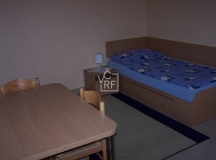 Pronájem bytu, jiný, 20 m²