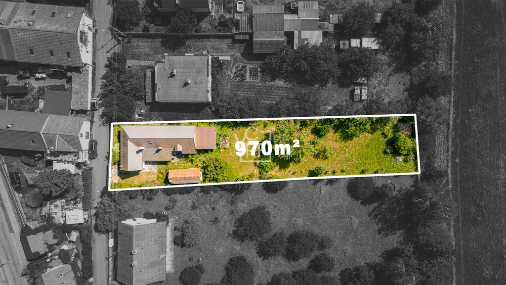 kladruby-102-copy.jpg