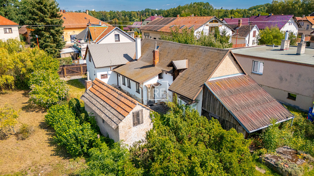 kladruby-104.jpg