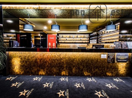 Pronájem obchodní prostory, 863 m²