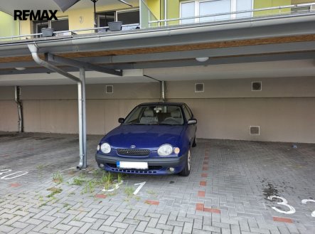 Pronájem