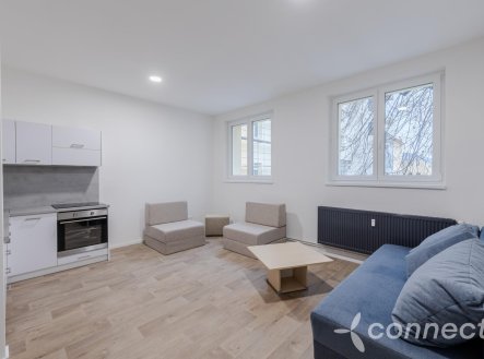 Pronájem bytu, 1+kk, 30 m² obrázek
