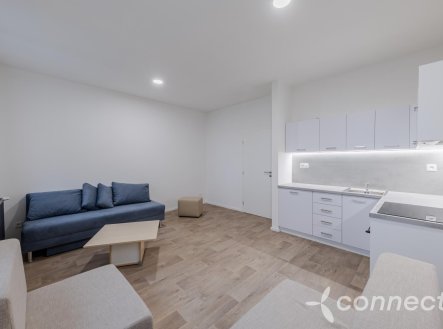 Pronájem bytu, 1+kk, 30 m²