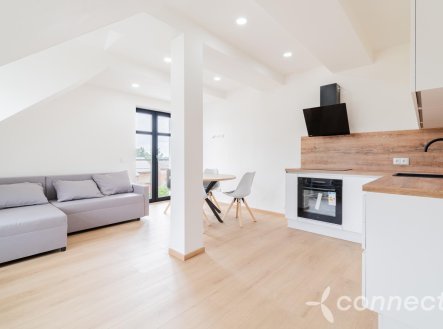 Prodej bytu, 1+kk, 45,3 m²