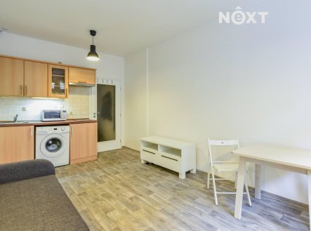 Pronájem bytu, 1+kk, 24 m²