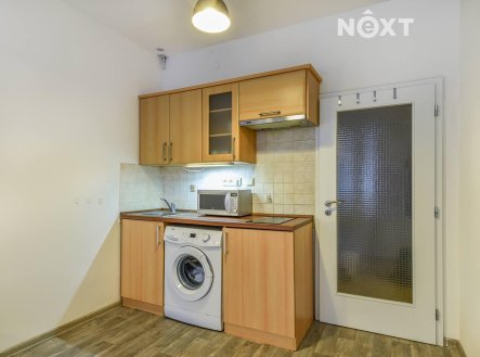Pronájem bytu, 1+kk, 24 m²