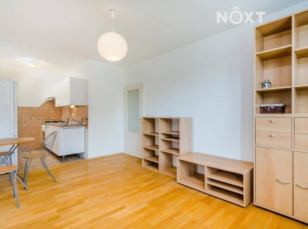 Pronájem bytu, 2+kk, 42 m²