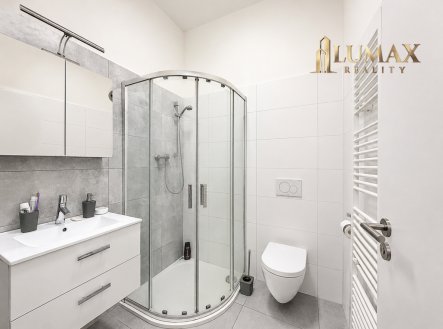 Pronájem bytu, 1+1, 49 m²