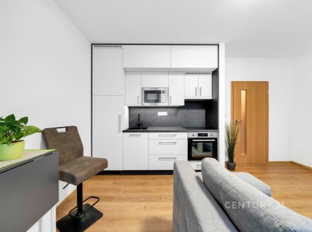 Pronájem bytu, 1+kk, 26 m²