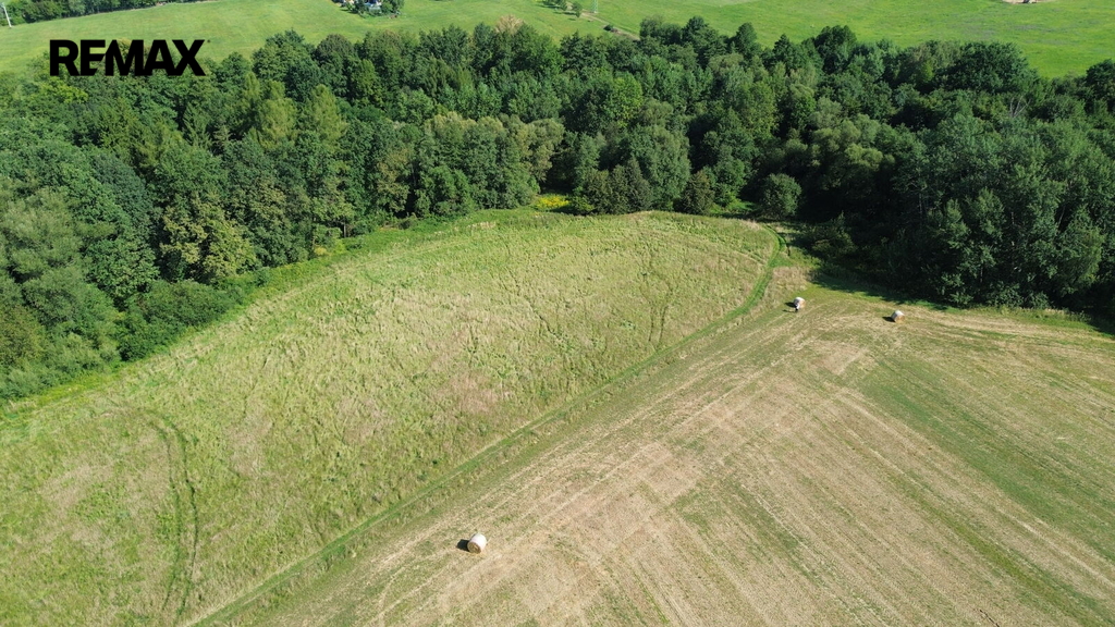 dji-0242.jpg