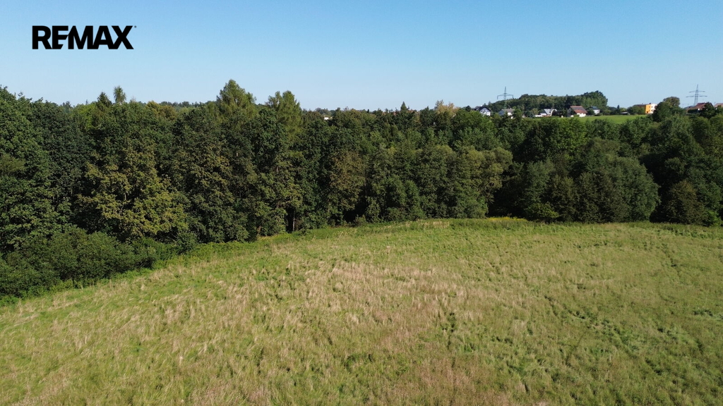 dji-0231.jpg