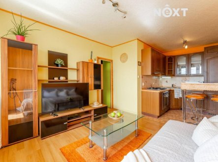 Prodej bytu, 2+kk, 40 m²