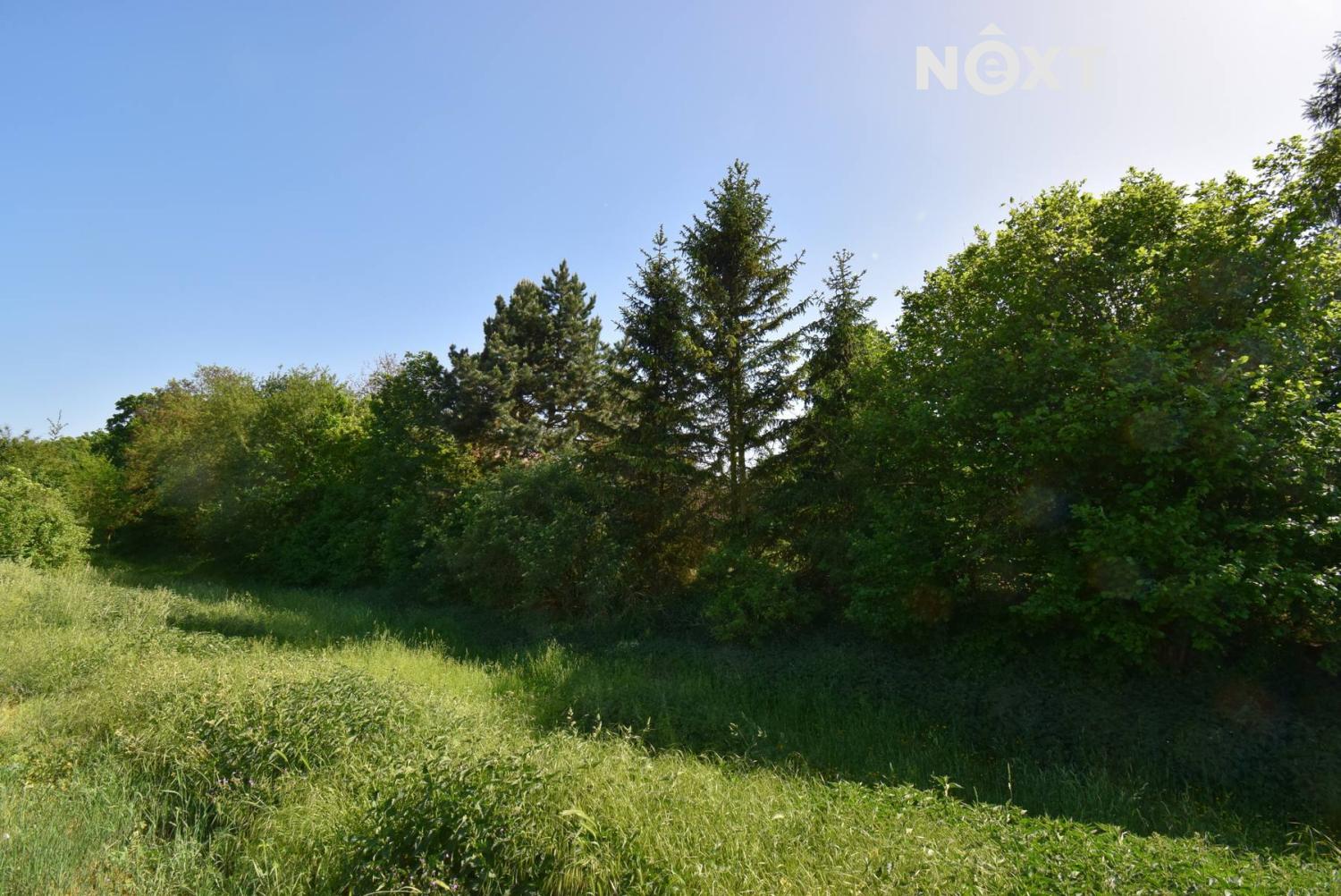 Prodej pozemek Pole, 7326㎡