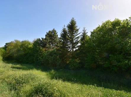 Prodej pozemku, zemědělská půda, 7 326 m²