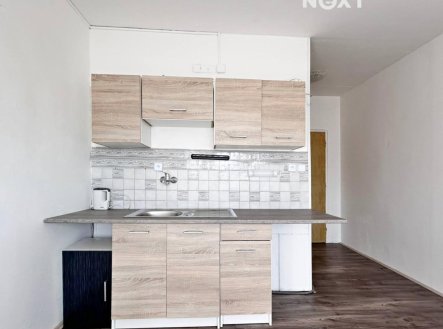 Pronájem bytu, 1+kk, 20 m²